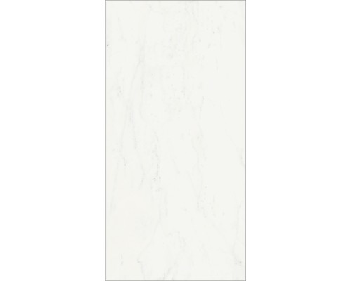 Керамогранит Italon Charme Deluxe Bianco Michelangelo 60х120 610015000494