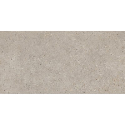 Керамогранит Kerama Marazzi Риккарди 60x119,5 бежевый матовый обрезной SG540620R