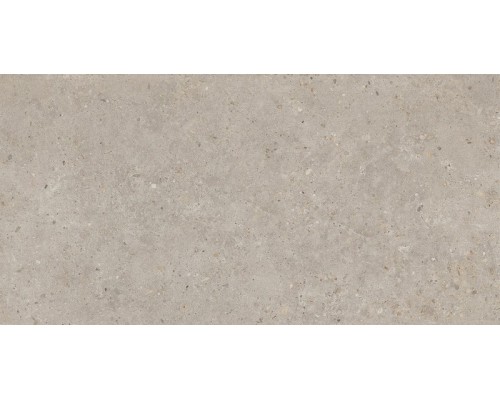 Керамогранит Kerama Marazzi Риккарди 60x119,5 бежевый матовый обрезной SG540620R