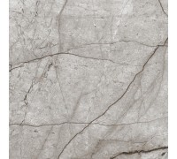 Керамогранит Laparet Obsidian Moss Gray 60x60 полированный